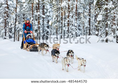 Husky dogs are pulling sledge with family at winter forest in Lapland Finland Royalty-Free Stock Photo #485464570