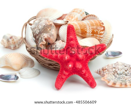 Seashells background with sea star isolated on a white