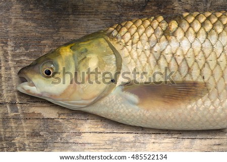 River fish on a wooden surface