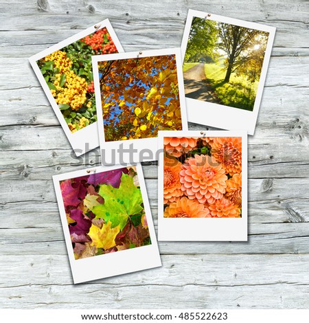Colorful autumn mood - captured on five instant pictures on grey wooden background; Snap shots with autumnal motifs