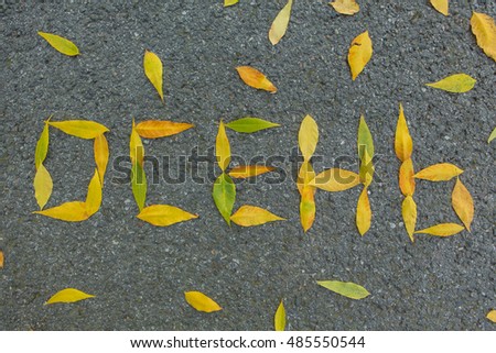 Word AUTUMN in russian language made of yellow and green leaves at asphalt background.