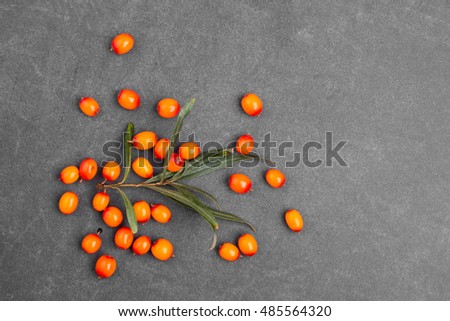 Bright fragrant fresh sea-buckthorn berries on a dark background. The view from the top. Horizontal. Royalty-Free Stock Photo #485564320