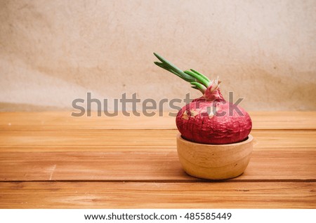 Growing onion, indicate the business concept are a little growing, Onion on wood table