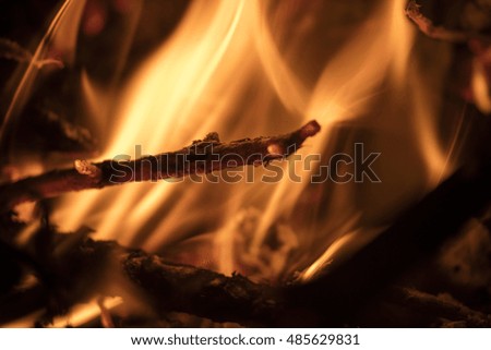 Detail on the fire with burning twigs, logs and leaves