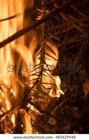 Detail on the fire with burning twigs, logs and leaves