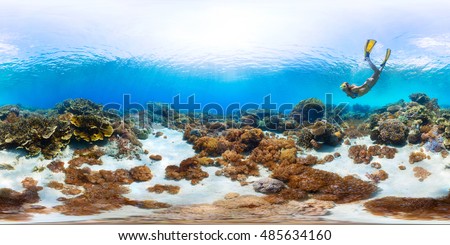 Spherical, 360 degrees, seamless panorama of the lady freediver exploring the tropical sea  with coral reef Royalty-Free Stock Photo #485634160