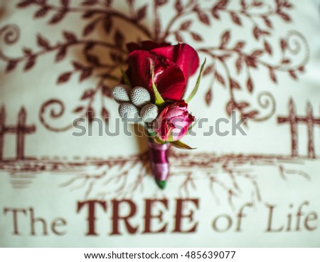 Red rose boutonniere lies on the white picture