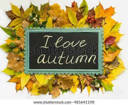 Autumn concept. Colorful autumn leaves frame. Autumn background. Chalkboard on autumn leaves background. I love autumn