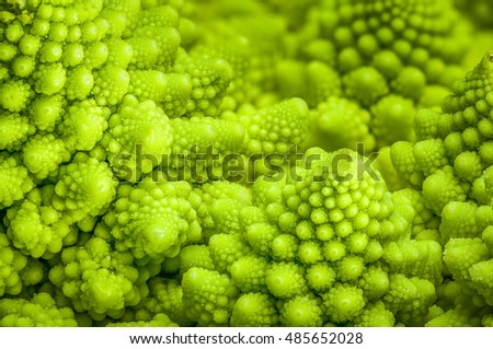 Romanesco broccoli (Brassica oleracea) close-up background