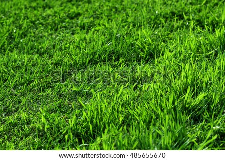 picture of a green grass background of a soccer field