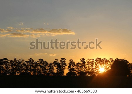 sunset with trees