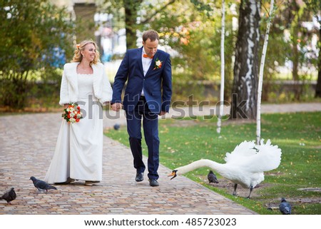 Swan biting groom at a wedding
