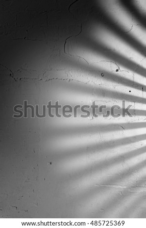Gray Concrete Wall With Blinds Shadow Texture