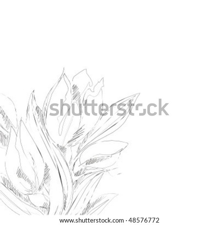 VECTOR Background with tulips
