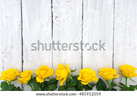 Frame of yellow roses on white rustic wooden background. Valentine's Day and Mother's Day background. Holiday mock up. Top view