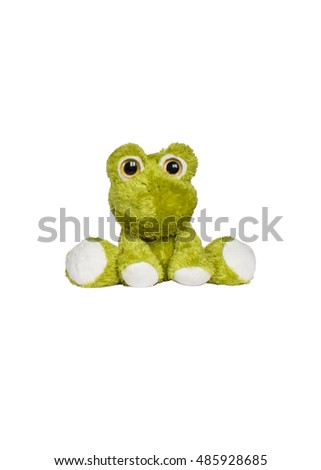 Frog doll isolate on white background, lovely.