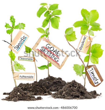 Photo of plants growing from soil heaps with GOAL SETTING conceptual words written on paper cards