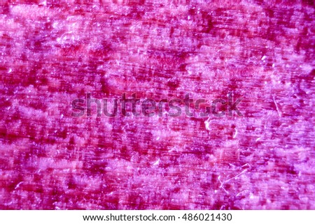 pink tree texture, meat texture as tree, tree texture as background, high quality resolution