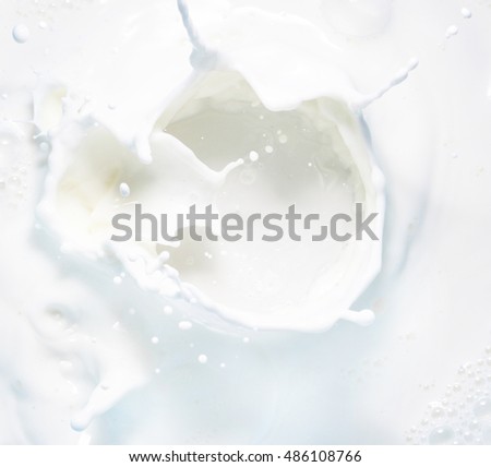High resolution beautiful splash of fresh milk. White background. Texture.