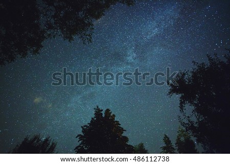 Real Milky Way photo seen through trees 