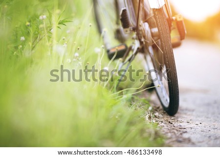 a wheel of bicycle in the evening,the sunset light. Soft focus picture style.