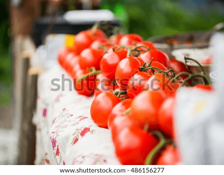 harvest, food, vegetable and sale concept - close up of ripe red tomatoes on stall at street market
