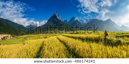 Beautiful Rice field landscape, The summit of Fan Si Pan or Phan Xi Pang mountain the highest mountain in Indochina at SAPA , Lao Cai, Vietnam Royalty-Free Stock Photo #486174241