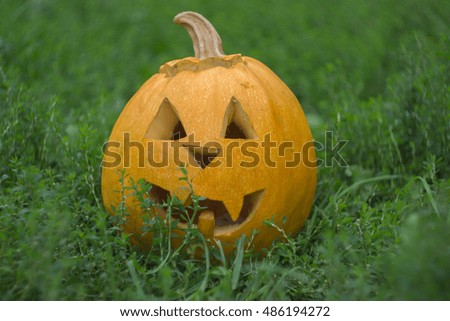 Halloween pumpkin in the park