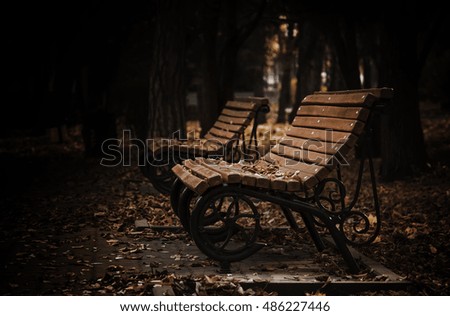 Empty wooden bench in a dark evening autumn park with fallen leaves, selective focus