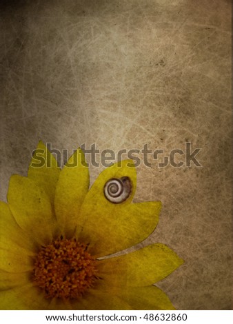 Background floral