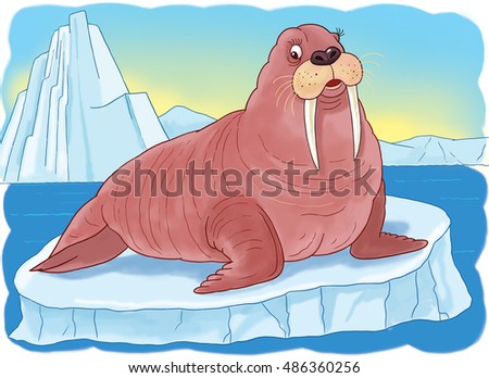 At the zoo. Arctic animals. A cute walrus sitting on the peace of ice. Illustration for children. Coloring book. Coloring page. Funny cartoon characters.