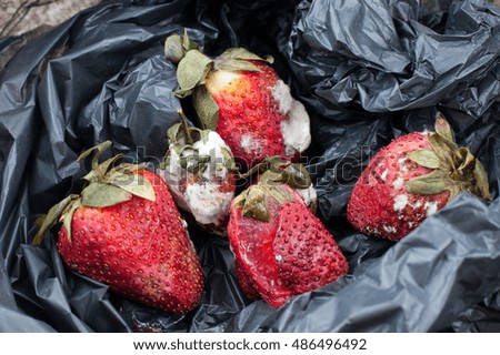Strawberries not fresh in plastic box put on black garbage bag ,on white background