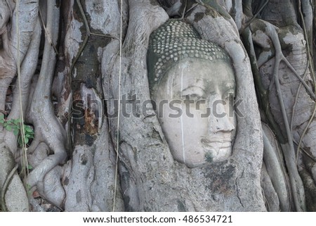 Head of Ancient Buddha Statue in tree roots at Mahathat Temple, Ayutthaya Historical Park, Ayutthaya, Thailand
