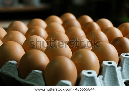 Chicken eggs in paper tray