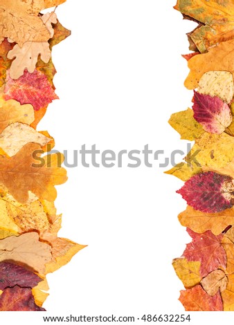 two side frame from yellow autumn leaves with blank cut out space
