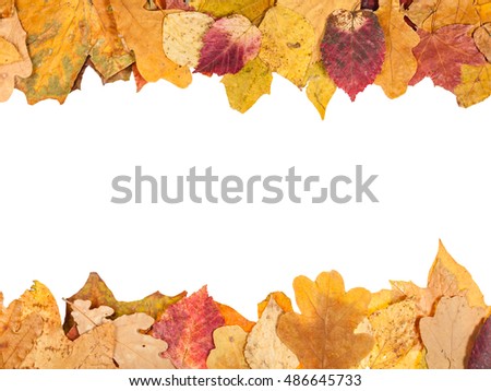 top and bottom frames from fallen autumn leaves with blank cut out space