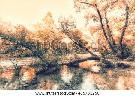 Willow tree lying in the water, autumn palette. Watercolor style image, nature abstract background