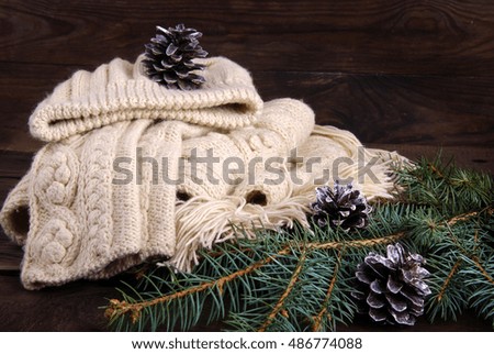 Winter set of hat, scarf, mittens and green fir-tree branch with silver cones on a dark wooden background.