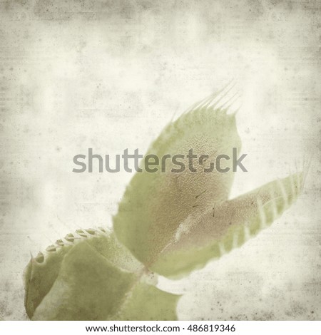 textured old paper background with Venus flytrap plant leaves