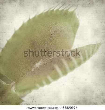 textured old paper background with Venus flytrap plant leaves