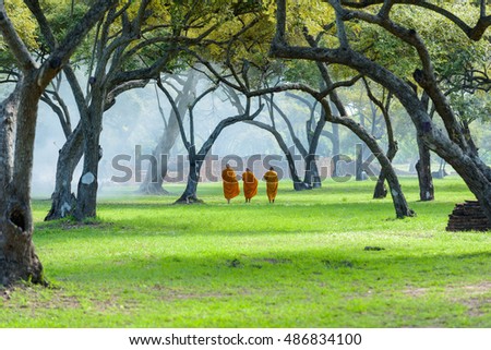 Monk walking in the area forest with old wall at ayutthaya