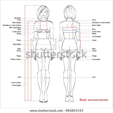 Woman Body Measurement Chart Scheme Stock Photo 505774906