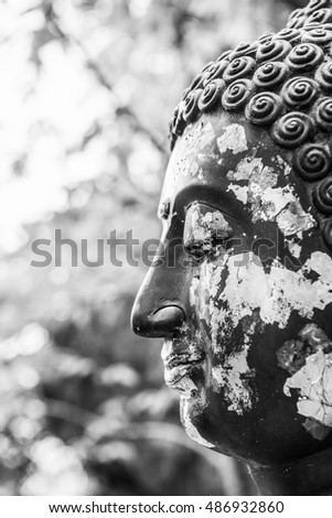 Buddha statue with natural background, Thailand