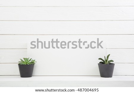 Two cactus on white wooden shabby chic background for a mock up in natural style.