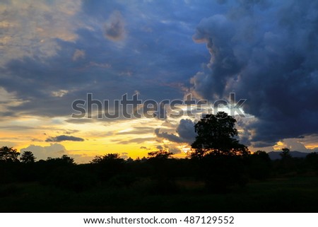 sky before sunset  colorful and silhouette woodland, twilight in nature