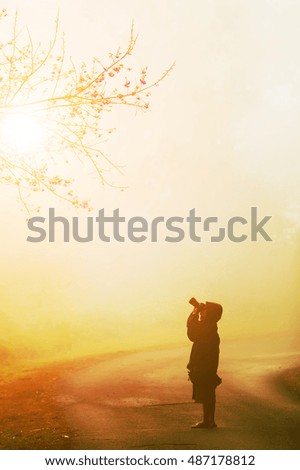Photographer standing on the road to take a photo of flower in the morning with mist. Travel concept.