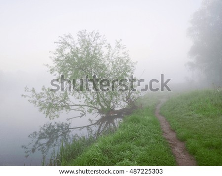 Fog on the river.