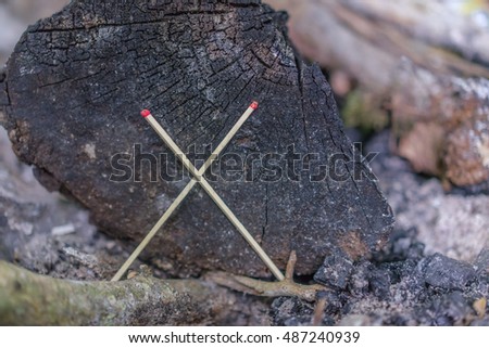 Conceptual image, No Fire, no camp fire in the forest area.
