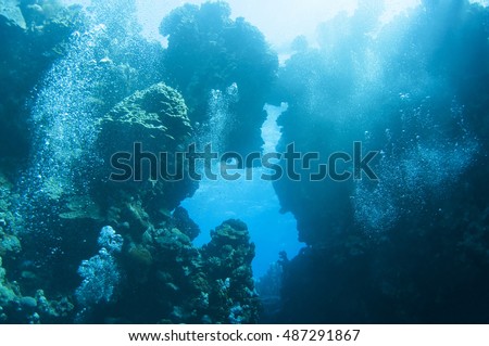 Beautiful underwater cave, Red sea, Egypt.