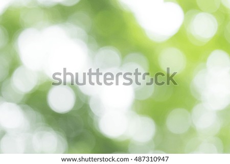 Bokeh in a green natural background, defocused
